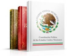 Constitución